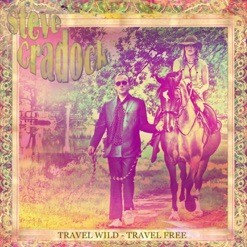 TRAVEL WILD - TRAVEL FREE cover art