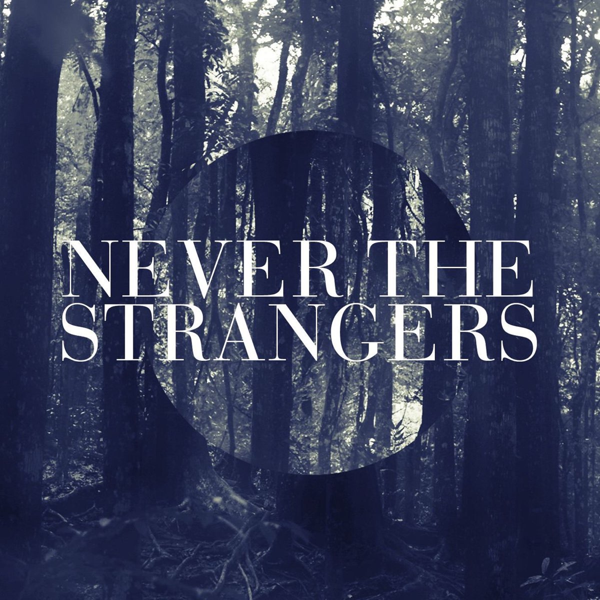 Альбом the stranger. Baltimore - strangers from the Light.