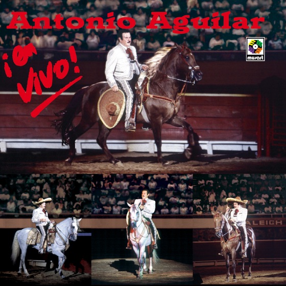 Cover artwork for El Rey
