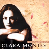 Clara Montes artwork