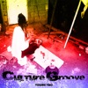 Culture Groove Vol 2 Platinum Edition