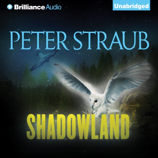 Shadowland (Unabridged) Album Cover