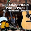 Bluegrass Pickin' Power Picks: 25 Traditional Classic Instrumentals