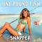 One Pound Fish (Dj Joey Club Mix) - Snapper lyrics