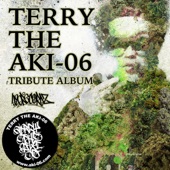 TERRY THE AKI-06 TRIBUTE ALBUM artwork