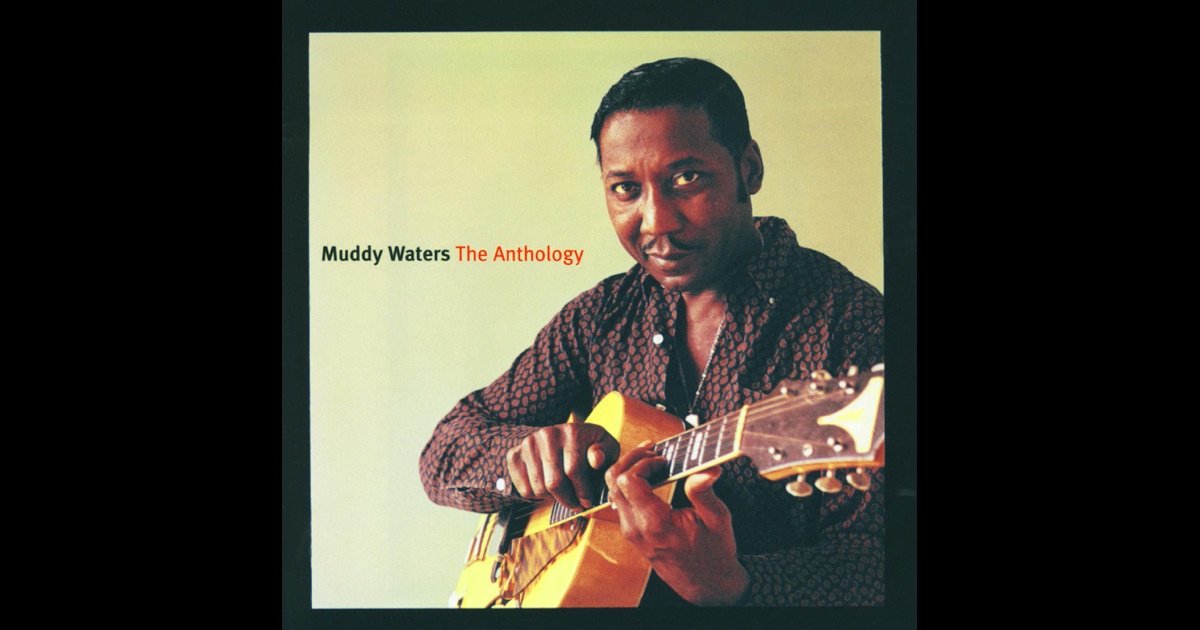 Muddy Waters - Wikipedia