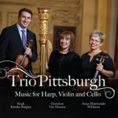 Trio for Violin, Cello and Harp: III. Andante artwork