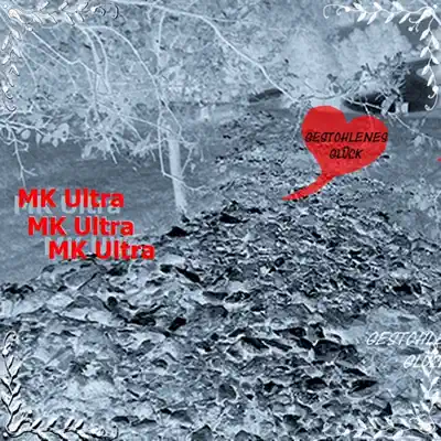 Gestohlenes Glück - Single - MK Ultra