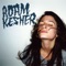 Feel You In My Arm (Yuksek Remix) - Adam Kesher lyrics