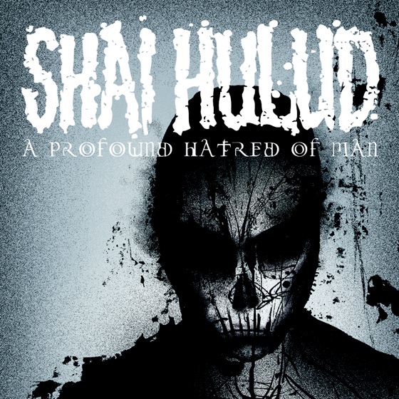 Cover artwork for Lost Cause