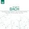 Mass in B Minor, BWV 232: Agnus Dei - Martina Koppelstetter, Capella Istropolitana & Christian Brembeck lyrics