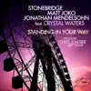 Standing In Your Way (feat. Crystal Waters) - EP album lyrics, reviews, download