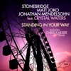 Standing In Your Way (feat. Crystal Waters) - EP