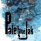 Grenade - Pale Blue Jak lyrics