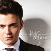 Del Amor artwork