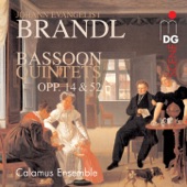 Quintet for Bassoon, Violin, 2 Violas and Violoncello in B-Flat Major, Op. 14: III. Andante artwork