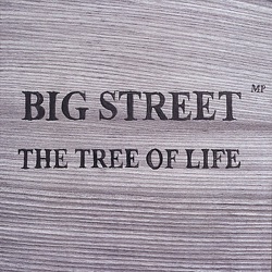 Big Street M.P. - Invisible Protection