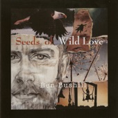 Seeds of Wild Love artwork