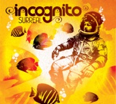 Incognito - The Less You Know (feat. Maysa)