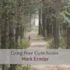 Grieg Peer Gynt Suites album lyrics, reviews, download