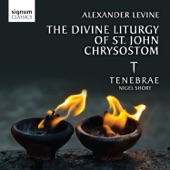 Alexander Levine: The Divine Liturgy of St. John Chrysostom artwork