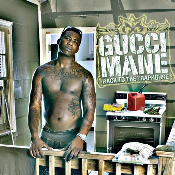 Cover artwork for Bird Flu