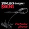 Grey Cat - Stefano Benini Quartet lyrics