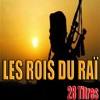 Les Rois du Raï, 28 titres, 2013