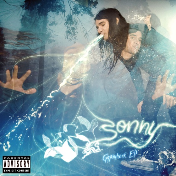 Cover artwork for Gypsyhook