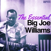 Big Joe Williams - North Wind Blows