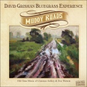 David Grisman - Walkin' Boss