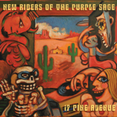 Down for the Ride - New Riders of the Purple Sage