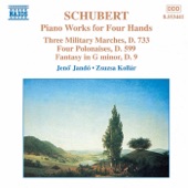 Schubert: Piano Works for Four Hands, Vol. 2 artwork