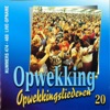 Opwekkingsliederen 20 (Live)