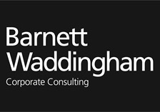 Corporate Consulting cover