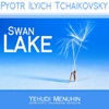 Tchaikovsky: Swan Lake artwork