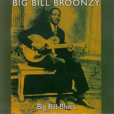 Big Bill Blues - Big Bill Broonzy