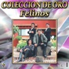 Felinos Coleccion De Oro, Vol. 1 - Morena De Quince Años, 2009