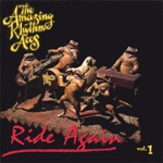 The Amazing Rhythm Aces - King of the Cowboys