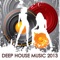 Deep House Music 2013 artwork