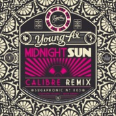 Midnight Sun (Remixes) - Single