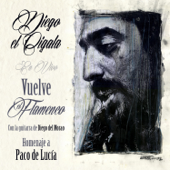 Vuelve el Flamenco: Homenaje a Paco de Lucía (feat. Diego del Morao) [En Vivo] - Diego El Cigala