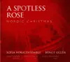 Stream & download A Spotless Rose: Nordic Christmas