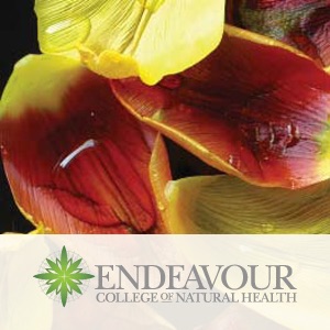 Health Topics and Natural Medicine cover