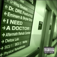 I Need a Doctor おすすめのカバー曲|アーティスト
