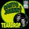 Teardrop - Santo & Johnny lyrics