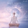 Liquid Mind X: Meditation (Liquid Mind X: Meditation)