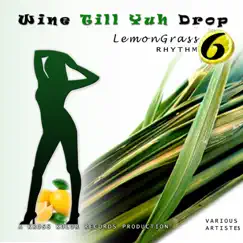 Wine Till Yuh Drop 6 by Various Artists album reviews, ratings, credits