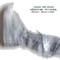 On a Ray On a Wave - Dane Moss lyrics