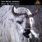 The White Buffalo - John Barry lyrics
